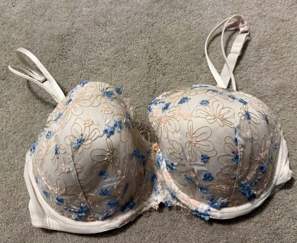 Victoria's Secret Dream Angels Wildflower Embroidery Bra Size 38DDD White